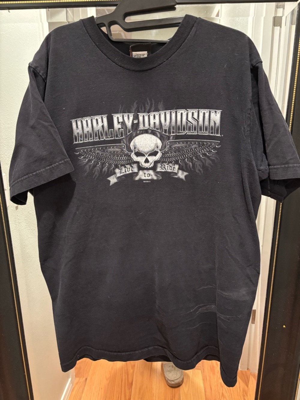 Harley-Davidson Black Skull & Wings Graphic Tee